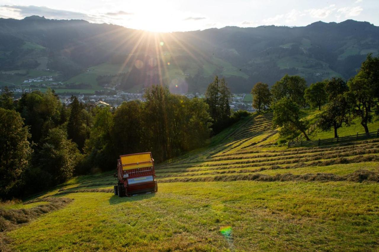 Appartements Lehenhof Sankt Johann im Pongau Exterior foto